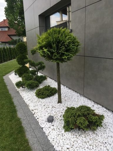 Modern och minimalistisk trädgård-Inspirationsbild lånad av Pinterest