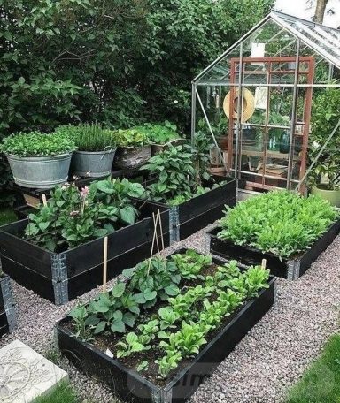 Köksträdgård-Inspirationsbild lånad av Pinterest